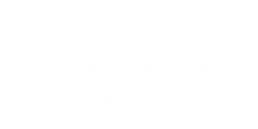 Make A Wish Logo