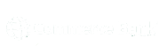 Make A Wish Logo