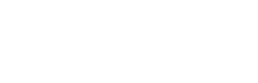 Make A Wish Logo
