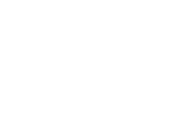Make A Wish Logo