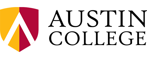 Make A Wish Logo