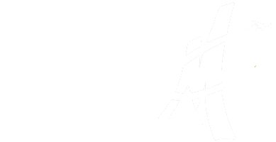 Make A Wish Logo