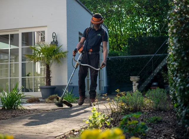 A man is using a lawn mower in a garden.