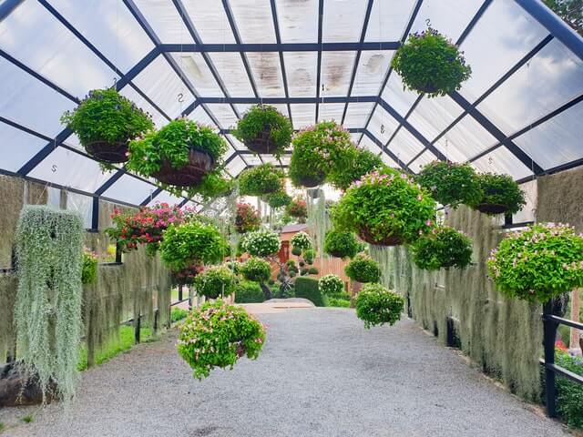 A walkway covered in lots of potted plants.