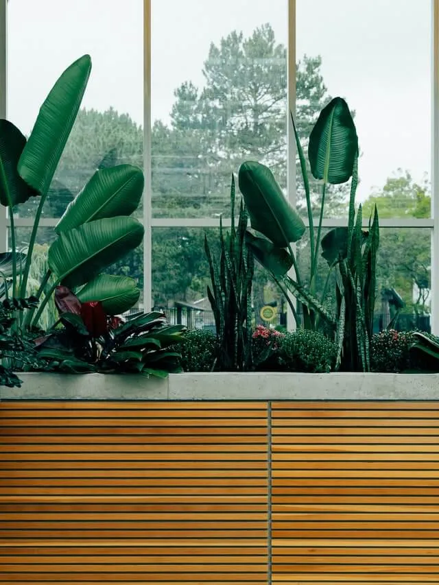 A planter filled with lots of green plants next to a window.