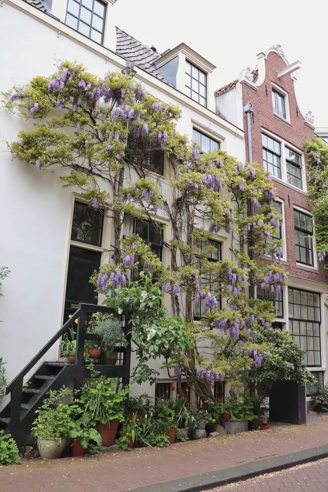 A building with a bunch of plants growing on it.