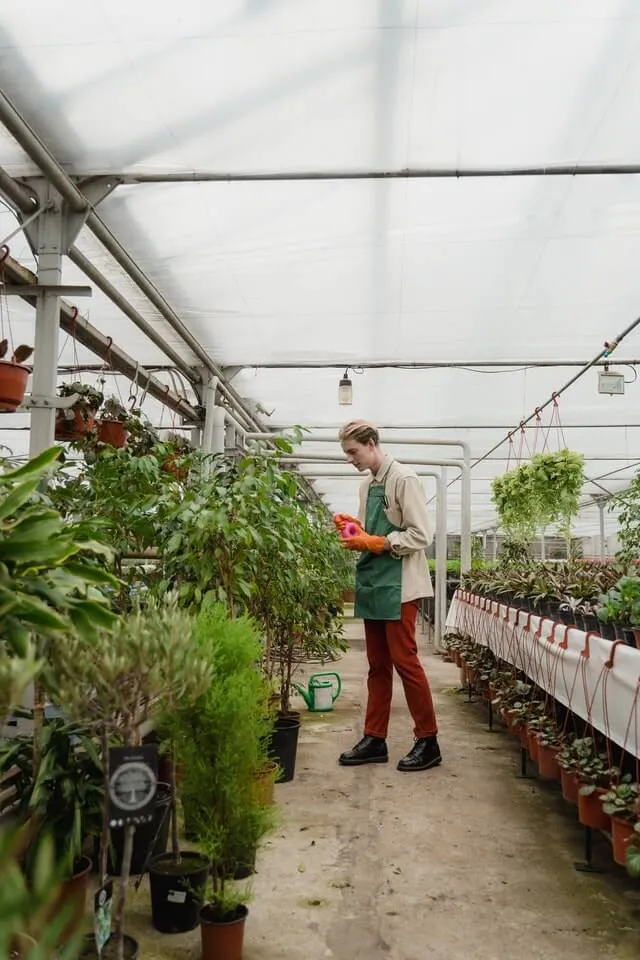 A man standing in a greenhouse holding a plant.