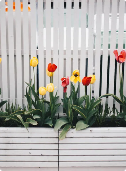 A white fence with a bunch of flowers in it.
