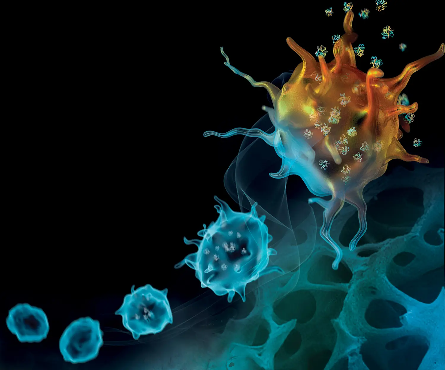 Biological cell on a dark background.