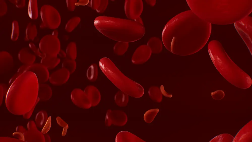 Biologic red blood cells.