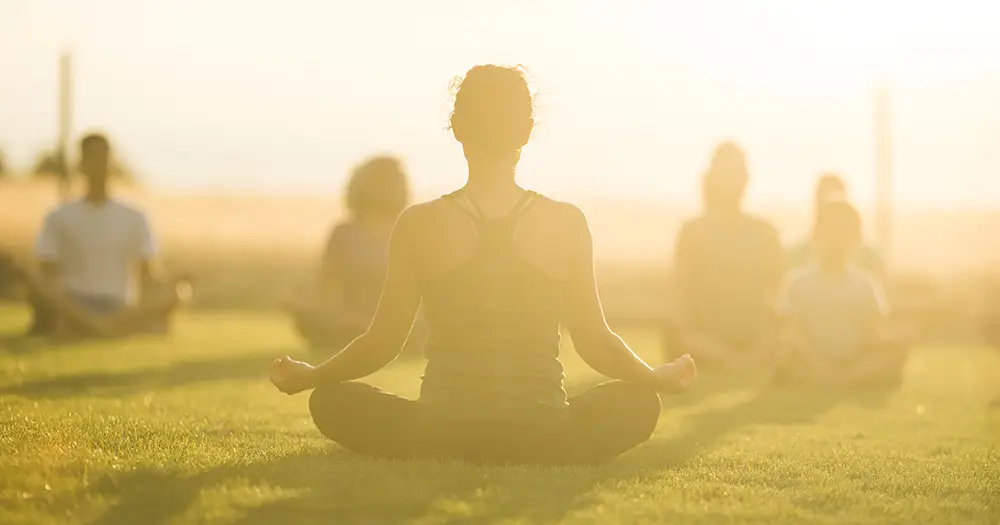 A group of people doing yoga outside on the lawn in the evening sunshine.