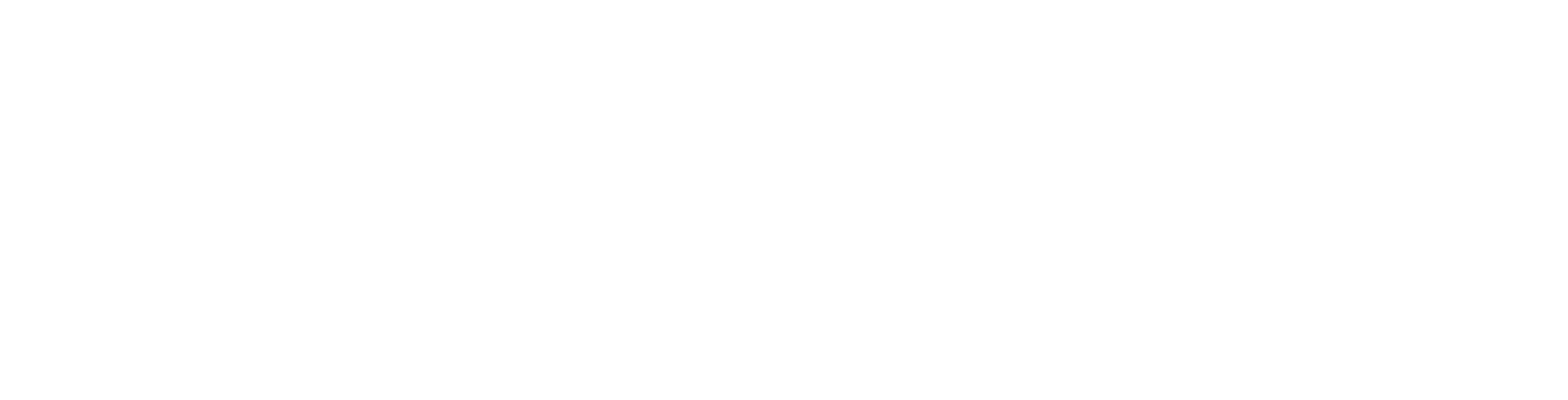 Luzern Risk full logo, white