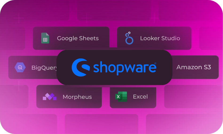 Connect Shopware to Dataslayer