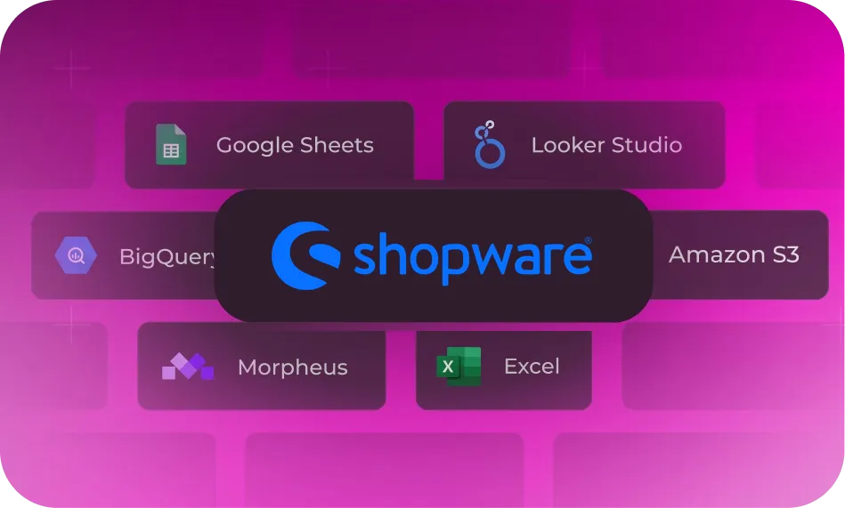 Connect Shopware to Dataslayer