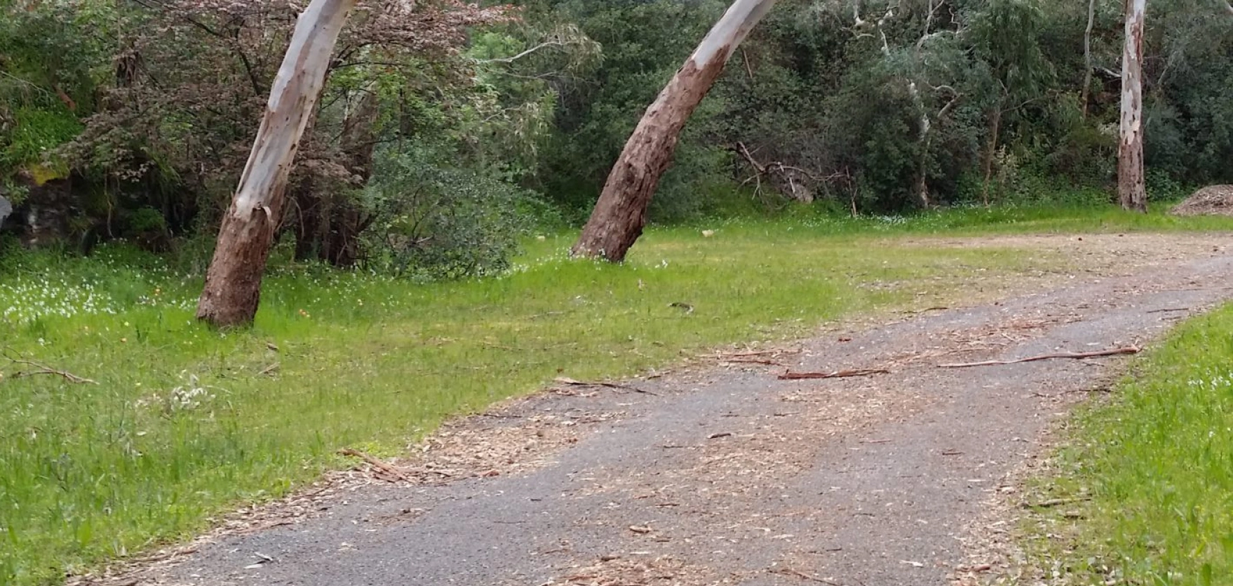 Eastern Amateur Pistol Club Inc