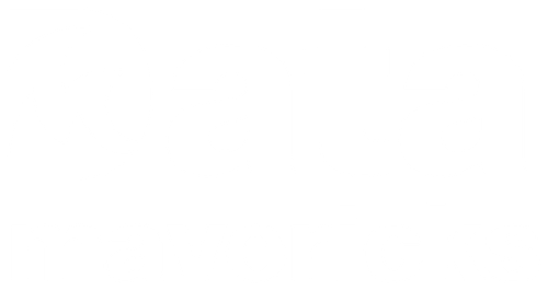 Data Mavricks Data Mavericks | Snowflake Experts for Data, AI & Analytics