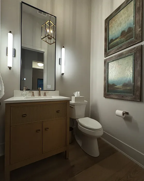 Modern bathroom with a wooden vanity, rectangular mirror, wall sconces, two framed landscape paintings, and a toilet with a tissue box on top.