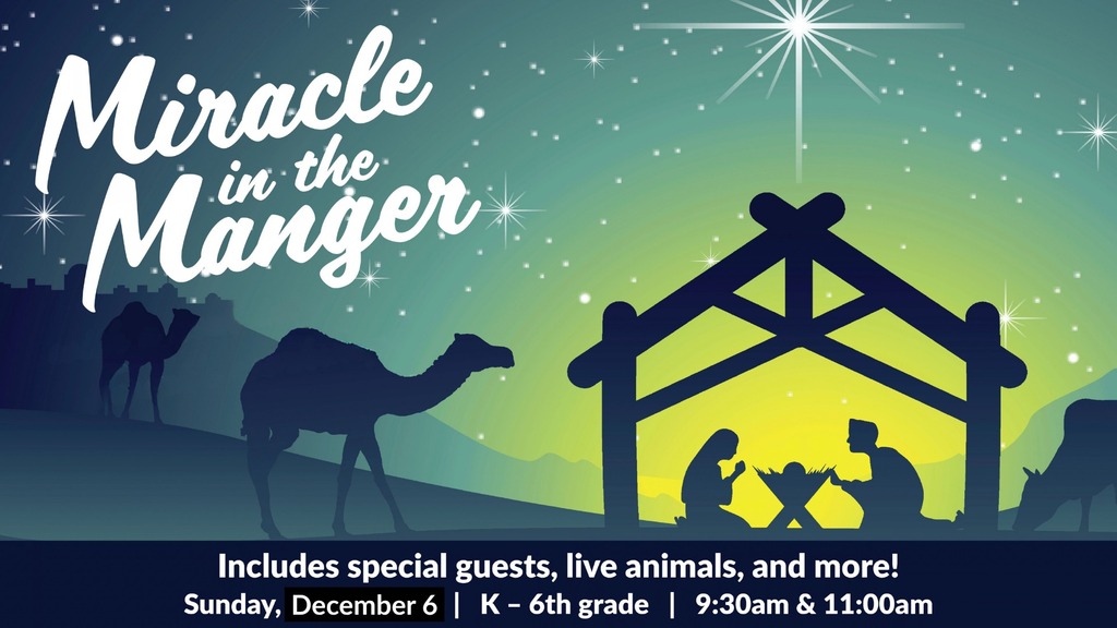 Photo for Miracle in a Manger
