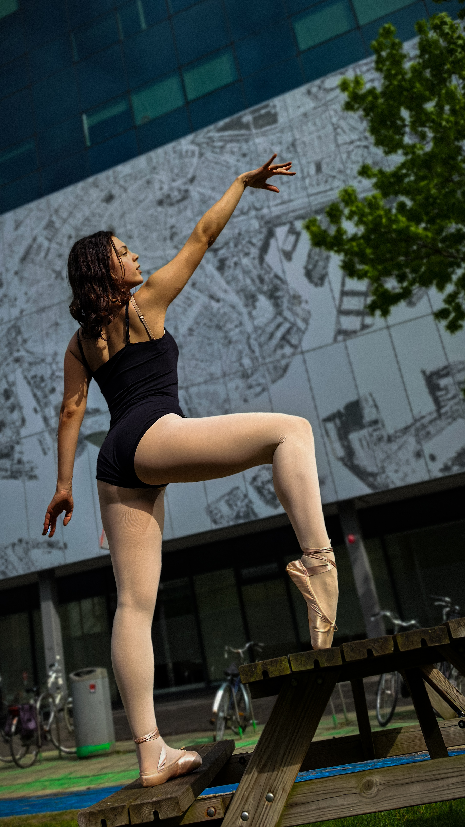 Portfolio Image 5