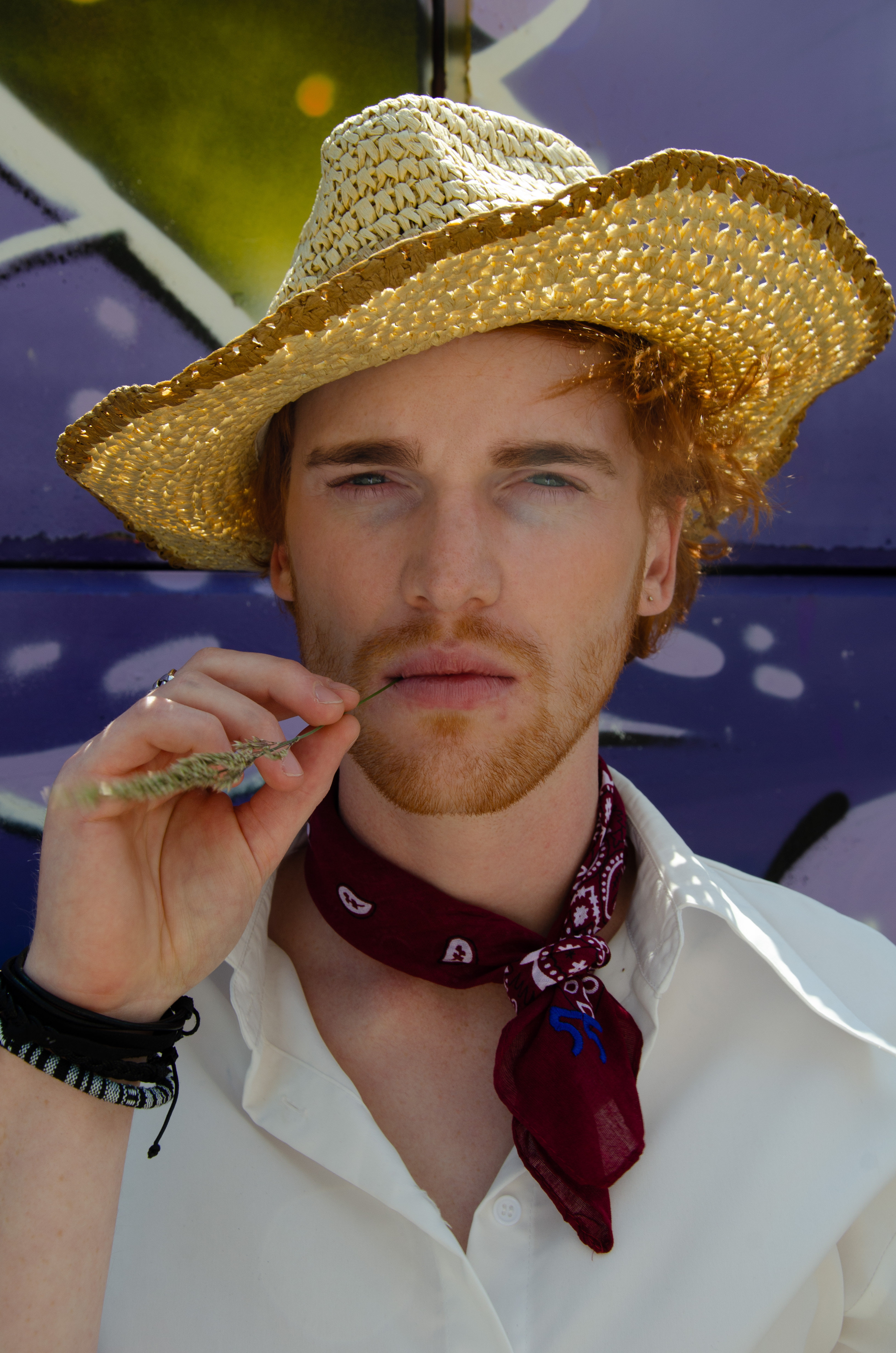 Portfolio Image 6