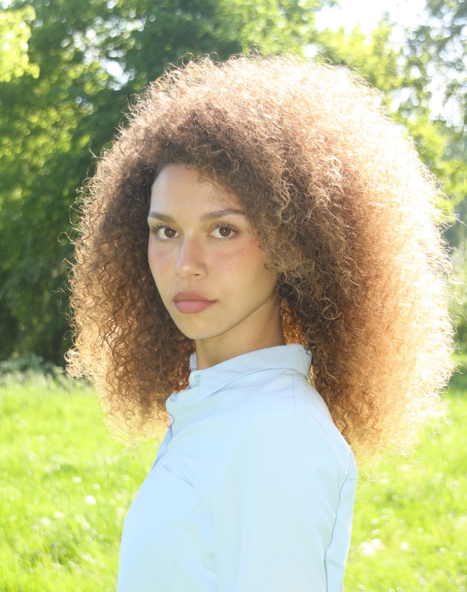 Portfolio Image 4