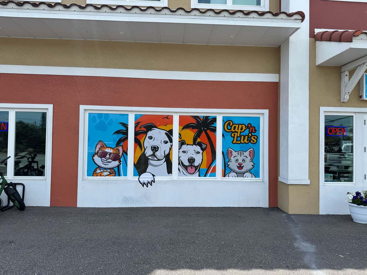 Photo of Cap N' Lu's window perforated vinyl