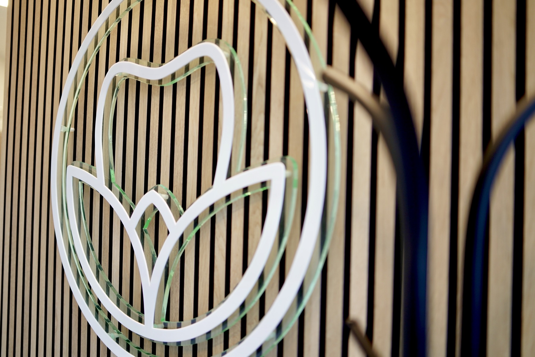 White and transparent glass floral logo mounted on a vertical wooden slat wall.