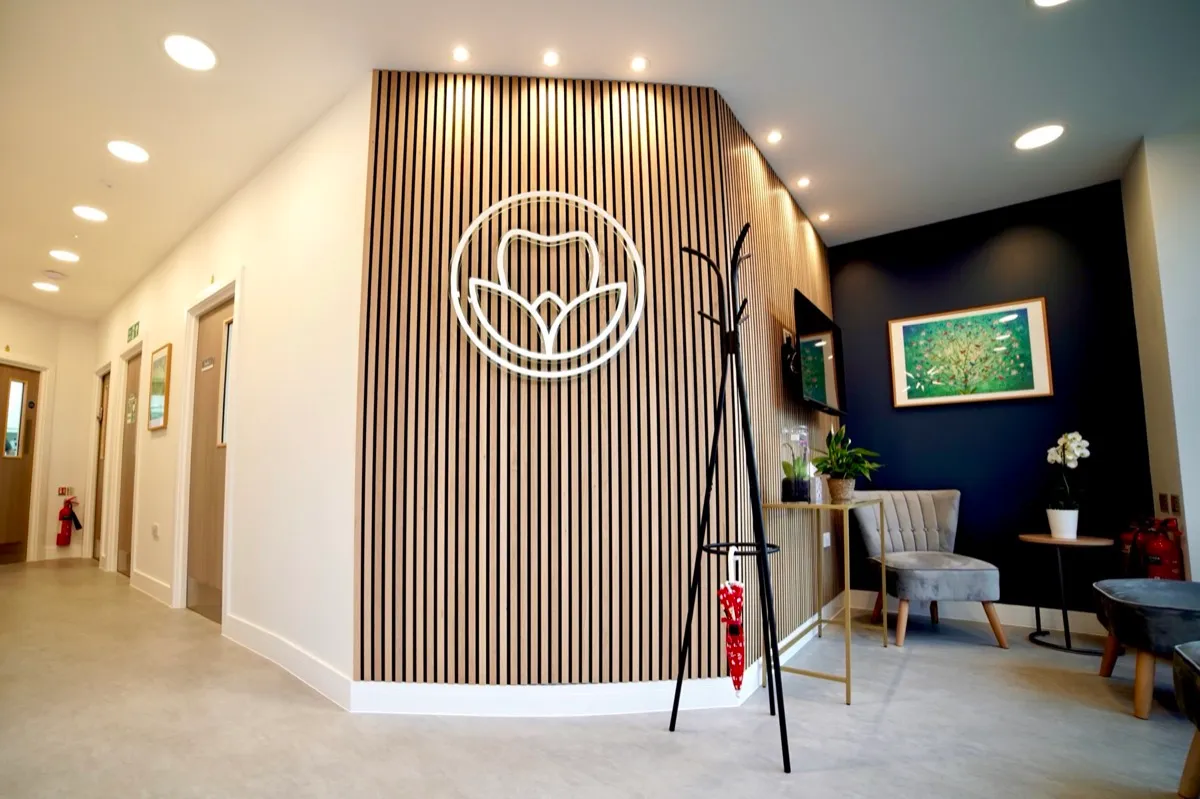 Modern dental office waiting area with light wood slat wall featuring a white illuminated tooth and leaf logo, gray armchairs, small plants on tables, a wall-mounted TV, and a black coat rack holding a red umbrella.