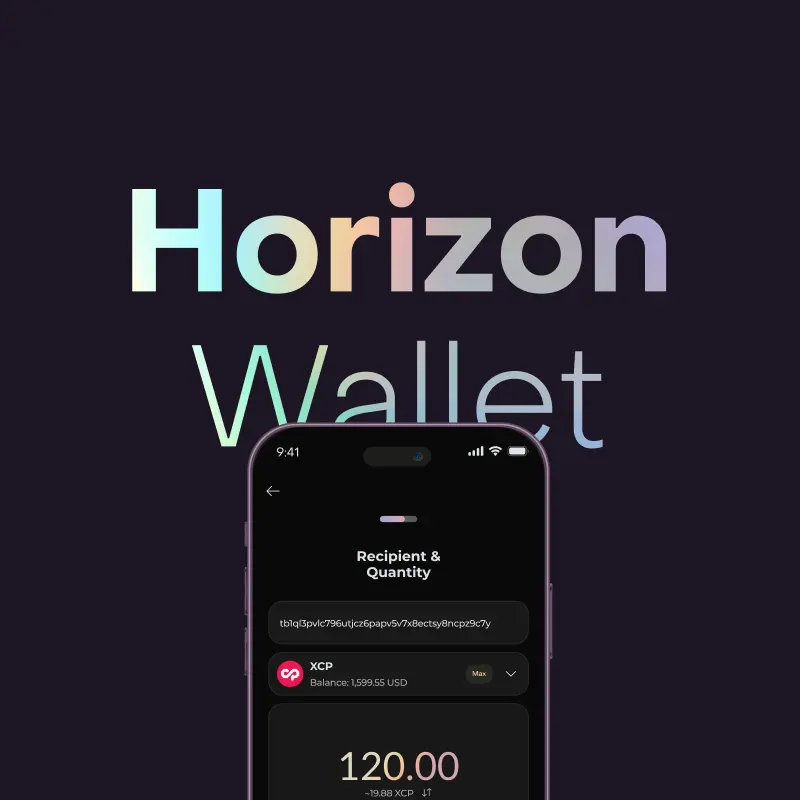 Horizon Wallet UI sample and name