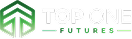 TOPONE logo