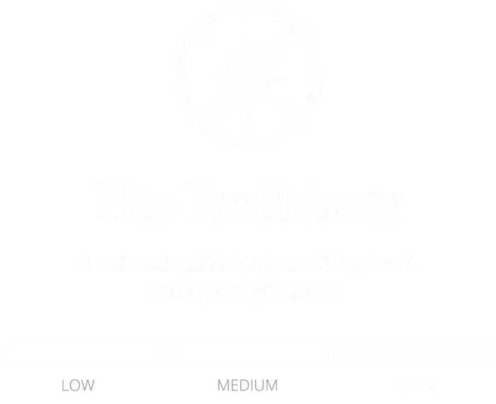 The Trailblazer graphic. Innovative pioneer, launching fresh initiatives for impact.