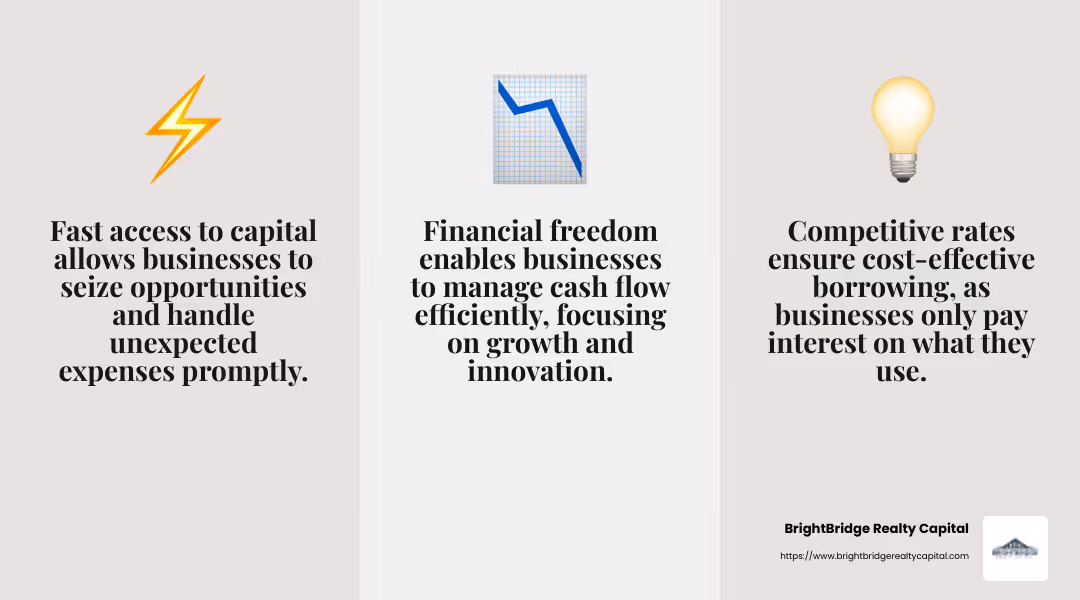 Fast Access to Capital - flexible funding solutions infographic 3_facts_emoji_grey