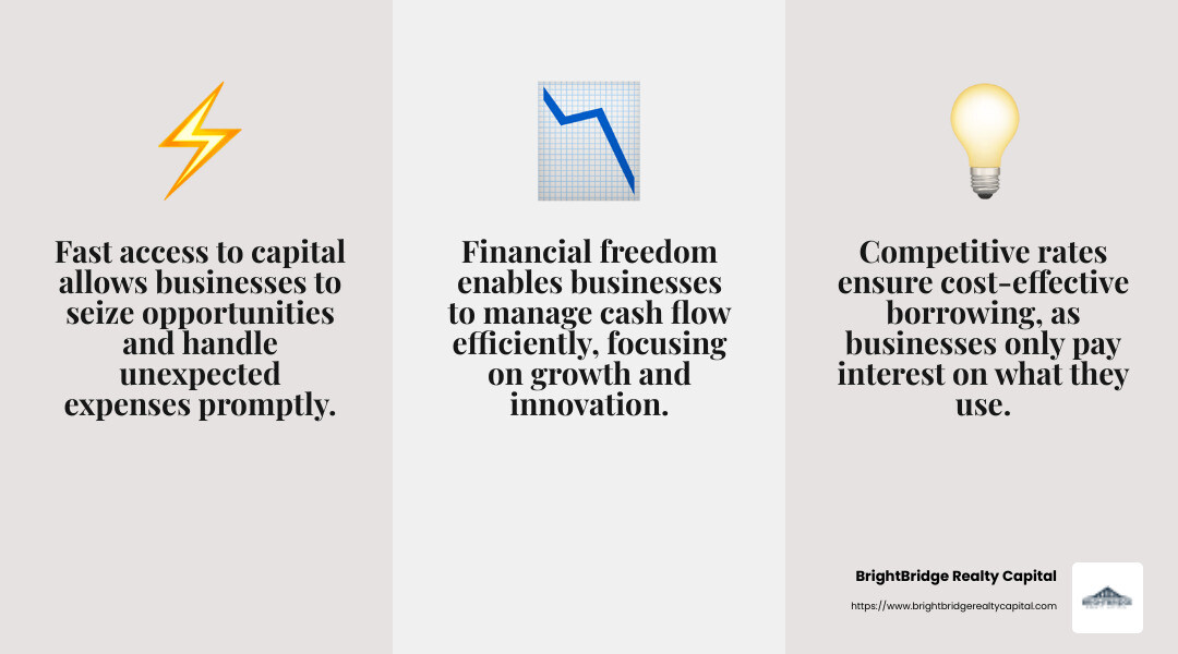 Fast Access to Capital - flexible funding solutions infographic 3_facts_emoji_grey