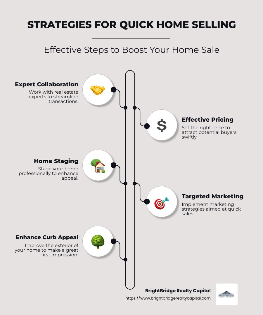 Infographic showing strategies for quick home selling: expert collaboration, effective pricing, and robust marketing - quick real estate solutions infographic infographic-line-5-steps-neat_beige Infographic showing strategies for quick home selling: expert collaboration, effective pricing, and robust marketing - quick real estate solutions infographic infographic-line-5-steps-neat_beige