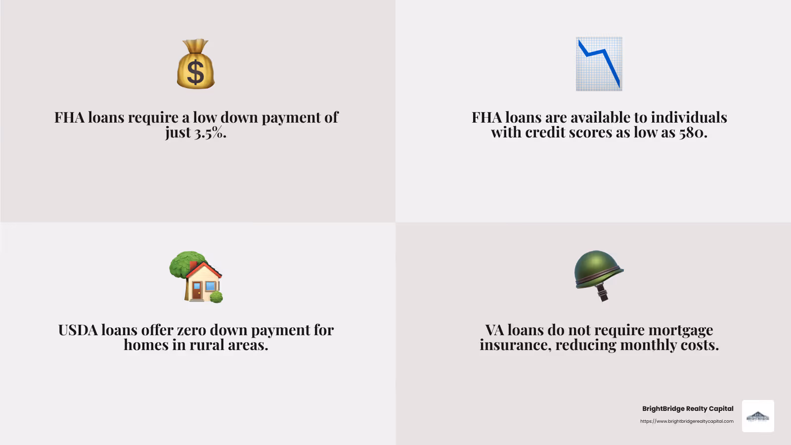 VA loans provide no down payment options for veterans and service members. - property loan programs infographic 4_facts_emoji_grey