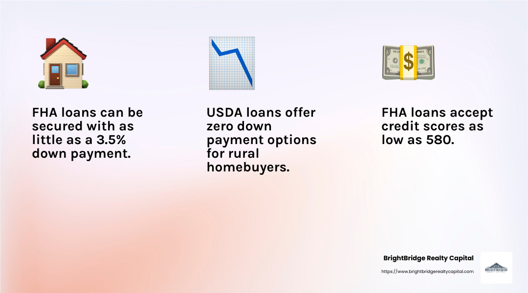 USDA loans support rural development with no down payment requirement. - property loan programs infographic 3_facts_emoji_light-gradient