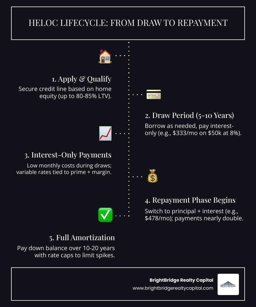 HELOC lifecycle infographic: draw period interest-only payments transitioning to principal and interest repayment - heloc