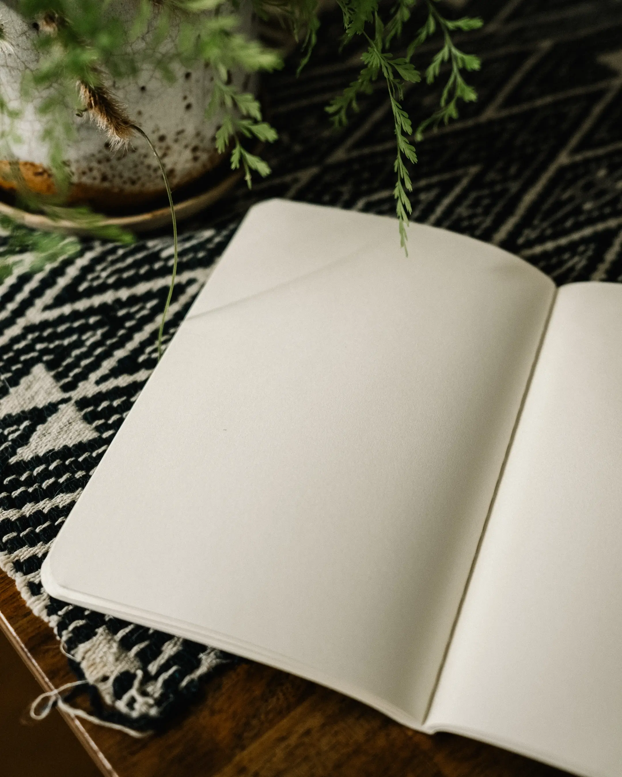 Blank pages of the SUIKA Passport Notebook, open flat