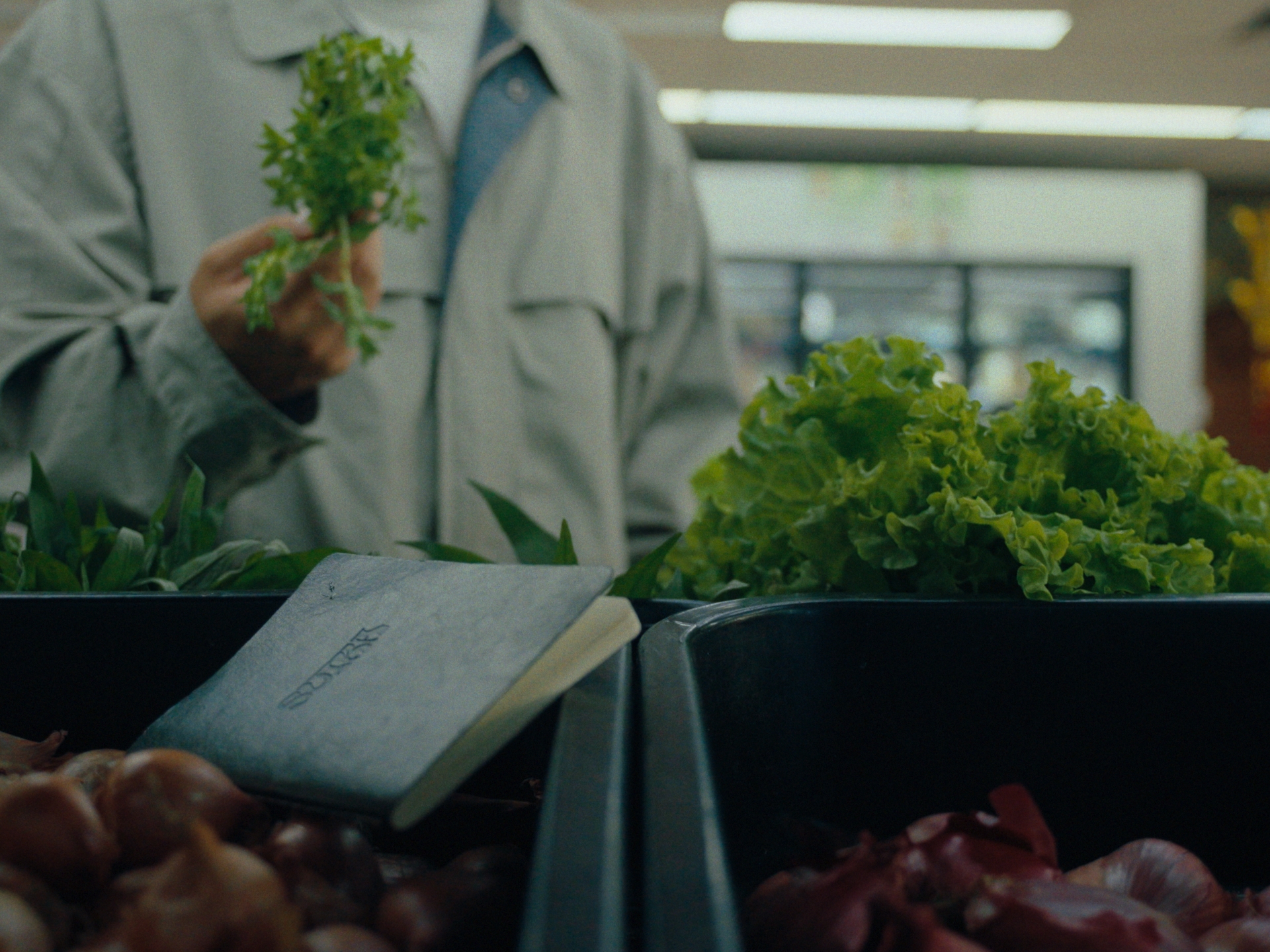 Choosing herbs at the grocer, the notebook resting on a crate