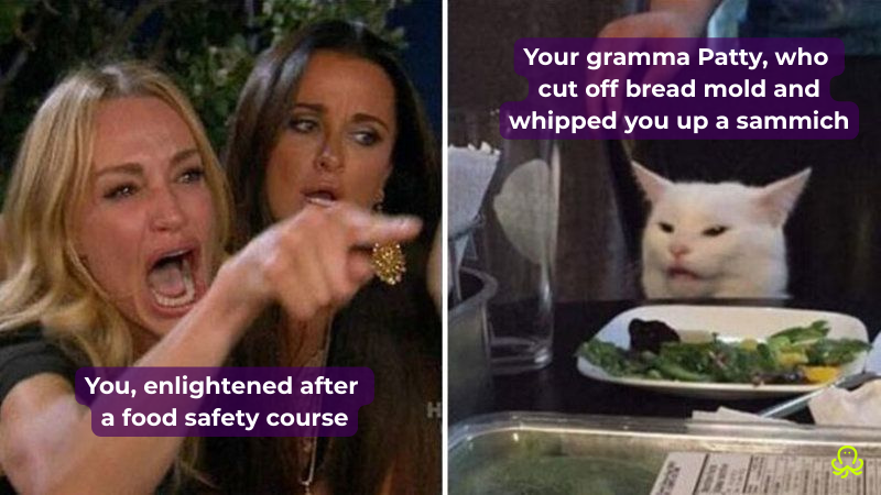 A meme showing a woman yelling with caption “You, enlightened after a food safety course” and a cat at a dinner table labeled “Your gramma Patty who cut off bread mold and whipped you up a sammich.”