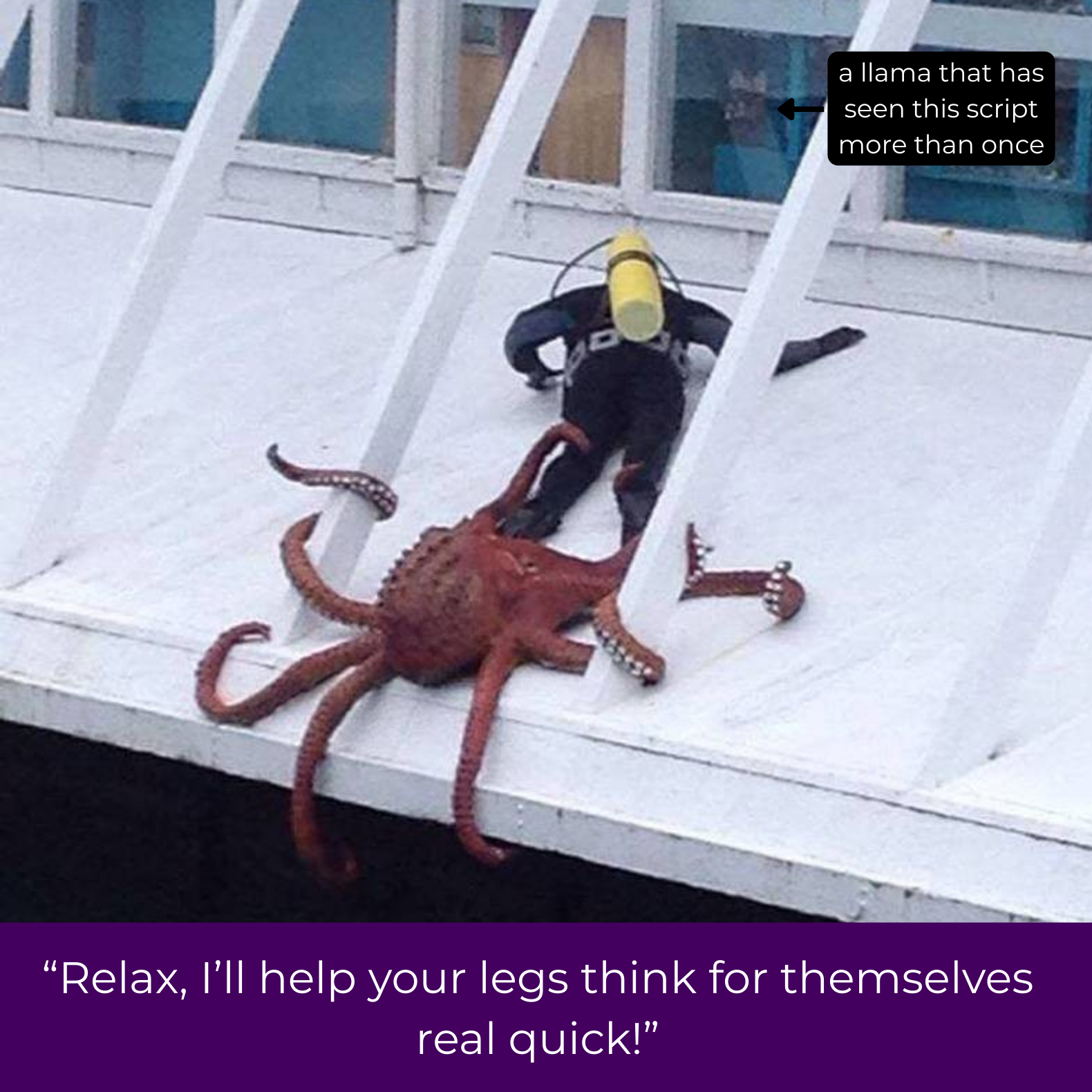 a picture depicting a large octopus trying to drag a diver into the sea to teach their legs to think for themselves, observed by what appears to be a shocked llama inside a ship’s cockpit. Caption says “relax, I’ll help your legs think for themselves real quick”