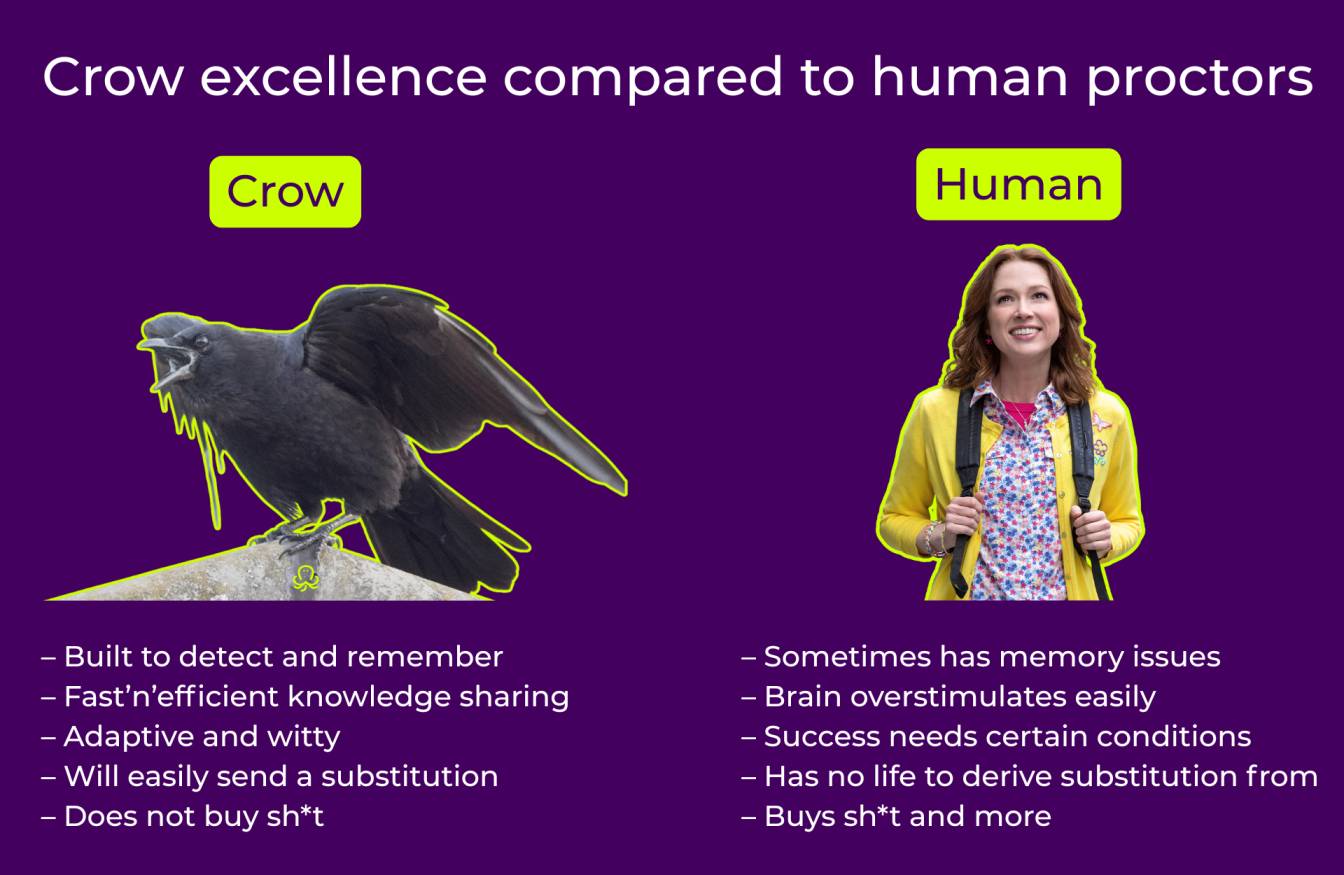 Meme comparing “crow excellence” to human proctors, showing a crow described as efficient, observant, adaptive, and skeptical, next to a human described as sometimes forgetful, easily overstimulated, and prone to believe other human’s nonsense.