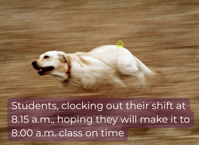 Meme showing a white labrador running at full speed through the fieldwith the caption: “Students, clocking out their shift at 8.15 a.m., hoping they will make it to 8.00 a.m. class on time.”