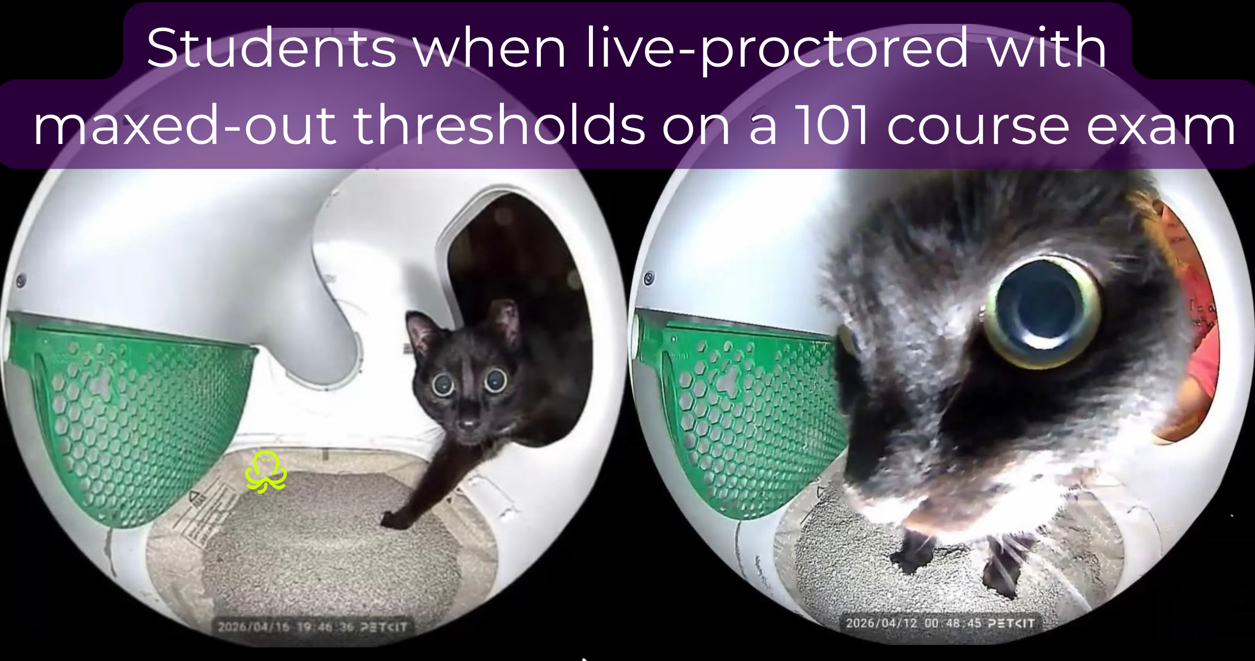 Meme showing a wide-eyed cat staring into a camera, captioned “Students when live-proctored with maxed-out thresholds on a 101 course exam.”