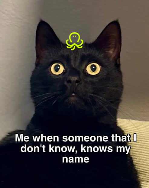 Black cat meme reacting to a stranger knowing its name, illustrating how online proctoring can use opaque user identifiers instead of personal names.