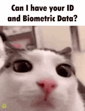 Cat meme asking for ID and biometric data, illustrating how biometric identity verification may be used in some online proctored exams