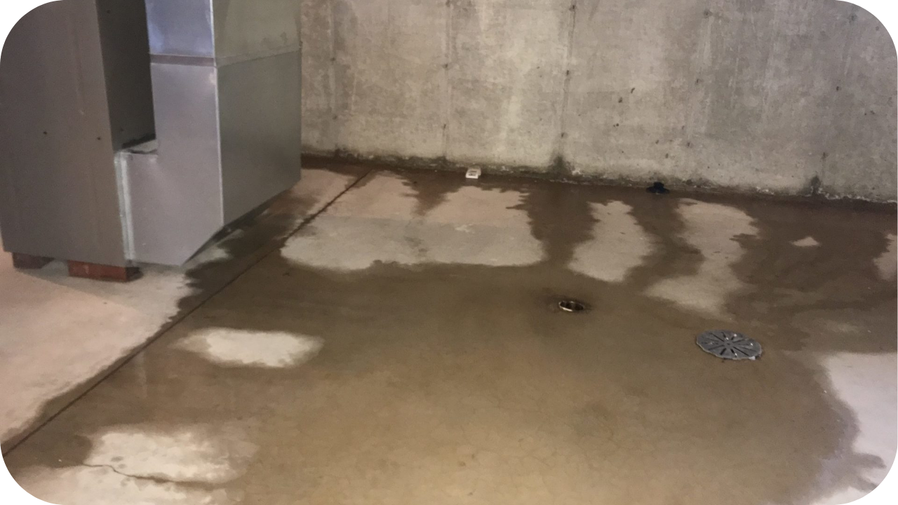Water spreading across a concrete basement floor near a wall drain, showing early signs of seepage and moisture damage that homeowners should address quickly.