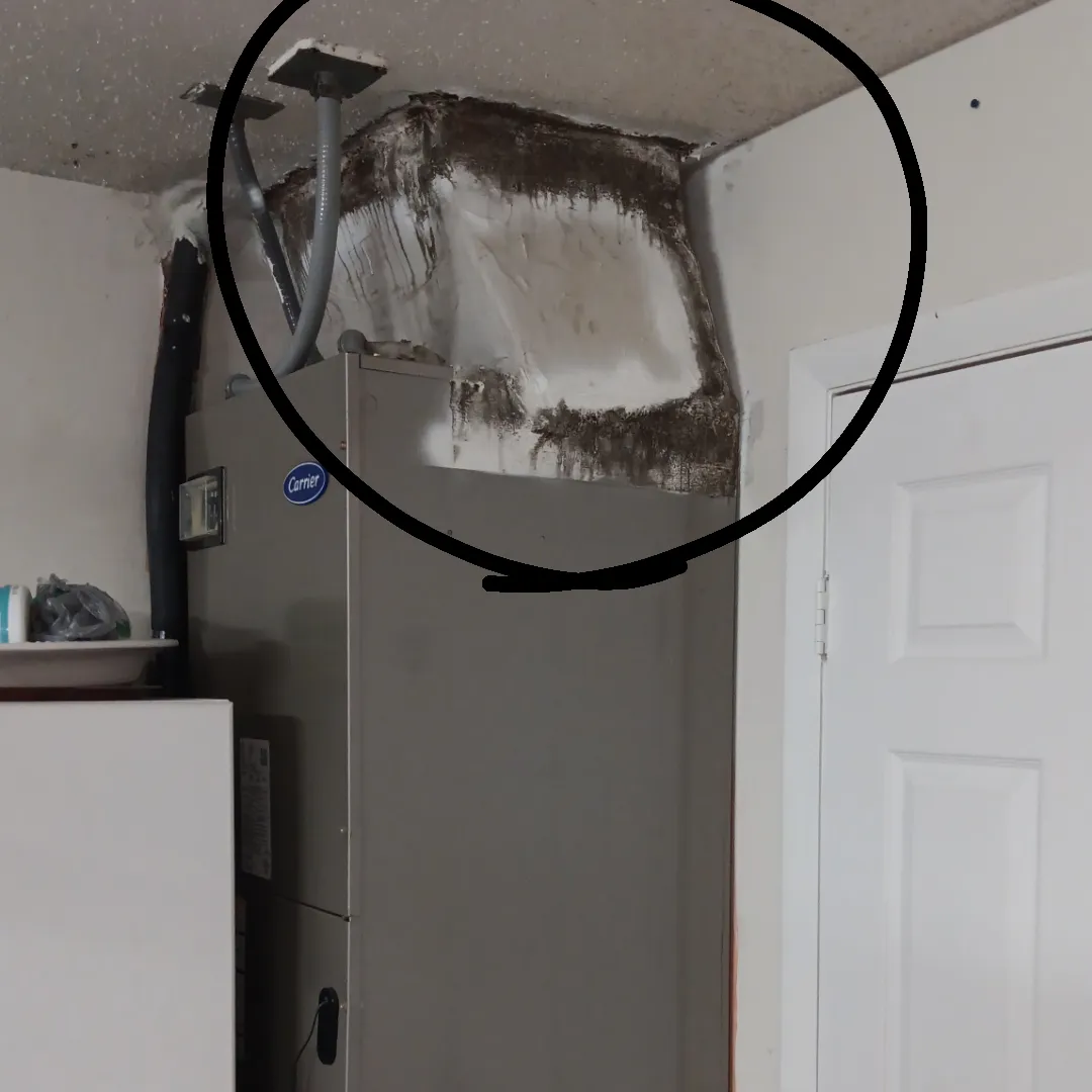 Mold growing inside a Florida home's AC air handler
