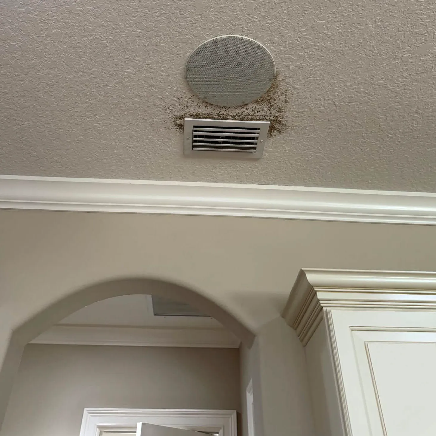 Dark mold spots around an AC supply vent in a Florida home