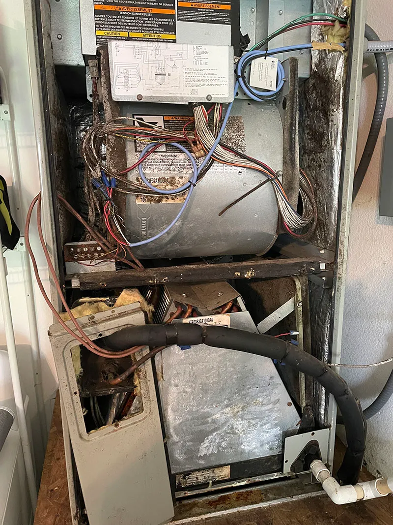Air handler covered with black mold inside a Florida home's AC system